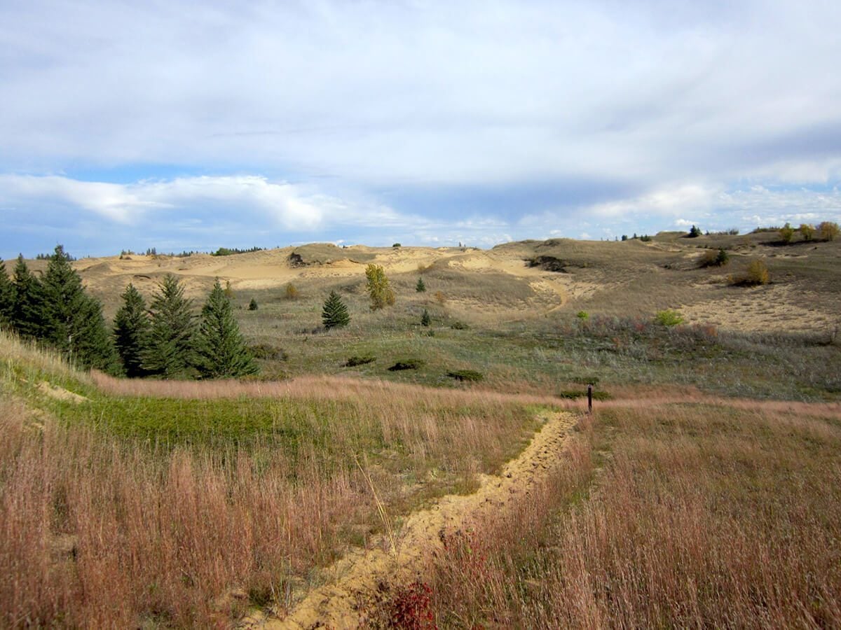 Spruce Woods Park in Manitoba, Canada