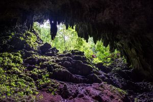 34 Fun and Interesting Facts About Puerto Rico You Probably Didn’t Know 7 Camuy Caves in Puerto Rico