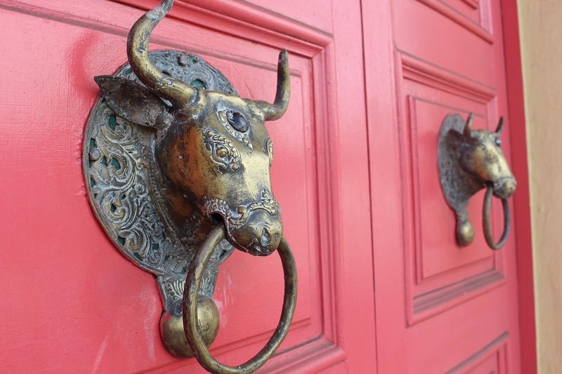 Napier door knocker closeup