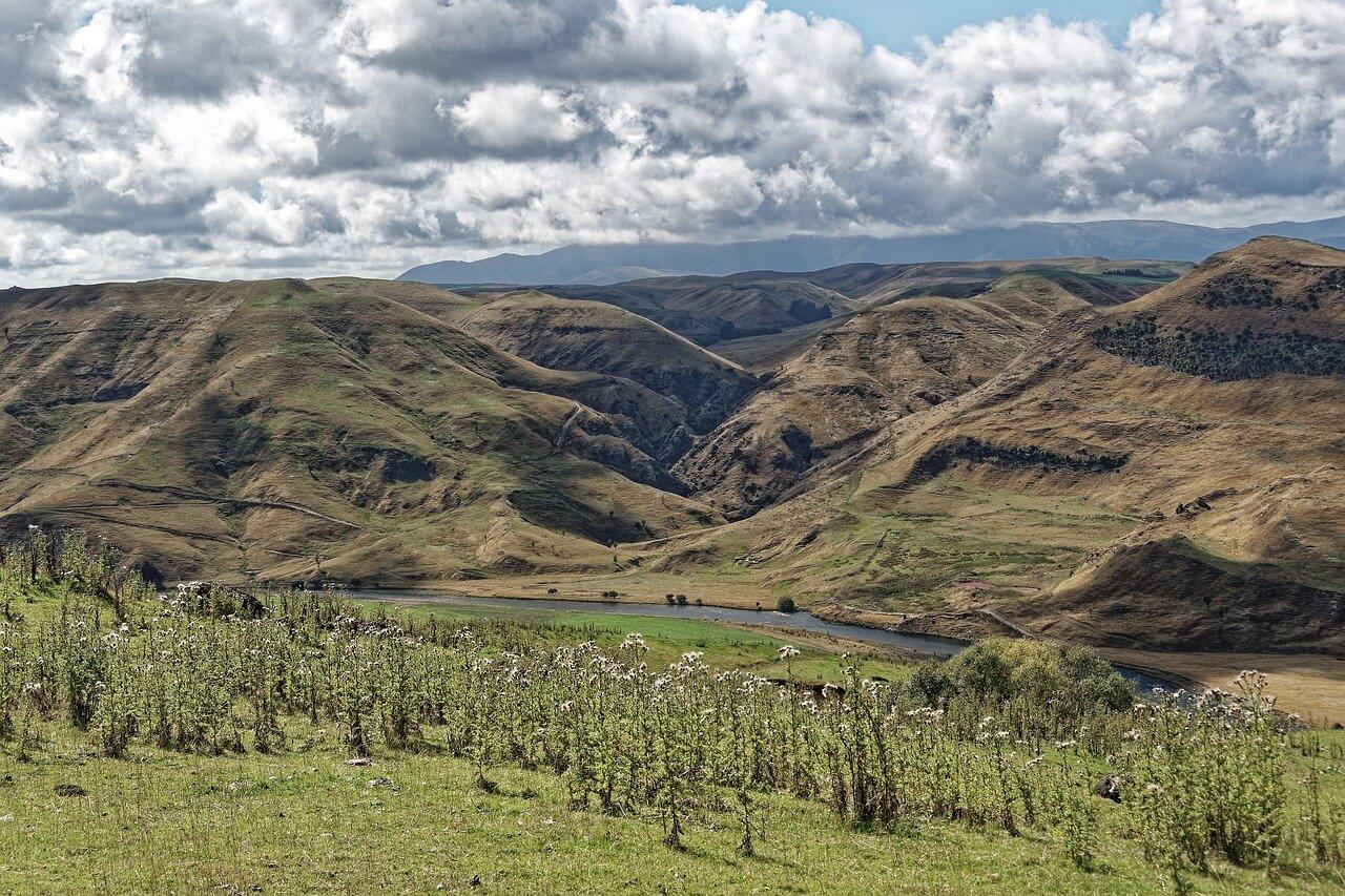 Hills in New Zealand