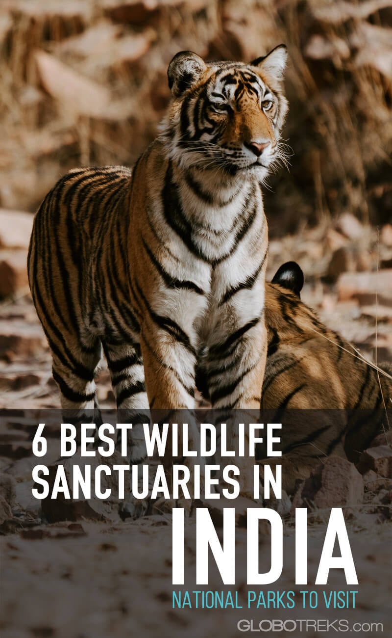6 Best Wildlife Sanctuaries in India - Top National Parks to Visit