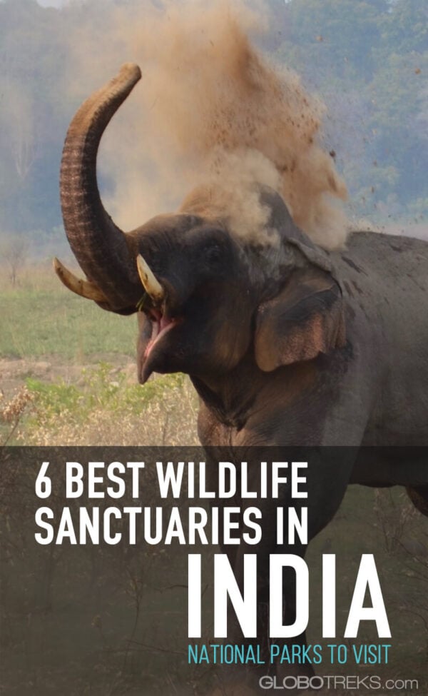 Best Wildlife Sanctuaries in India: National Parks to Visit
