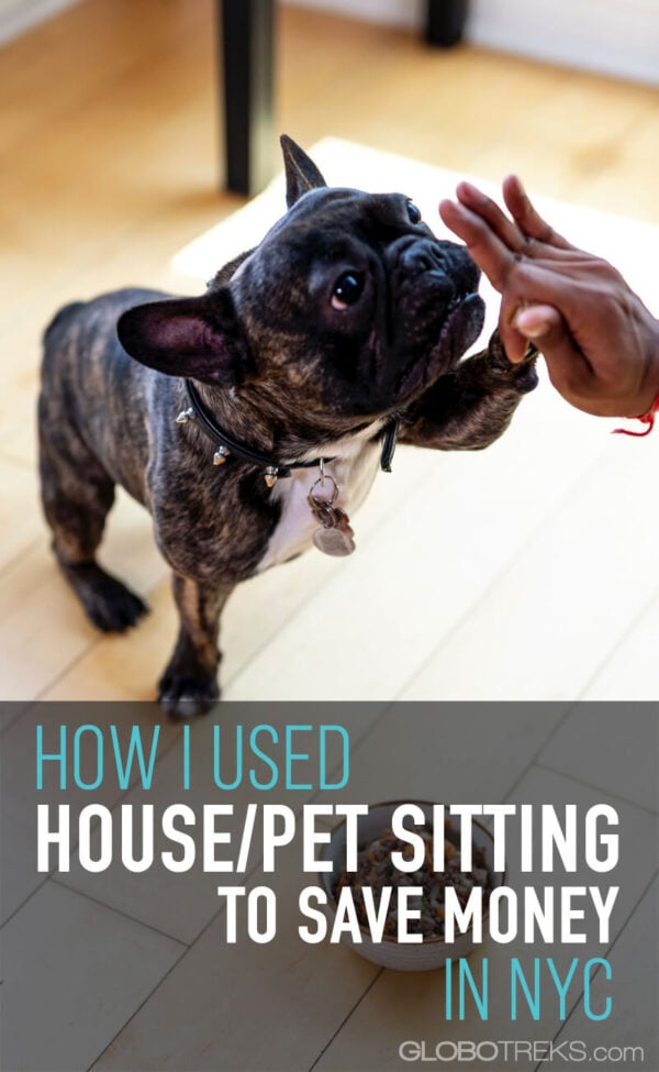 How I Used House Sitting/Pet Sitting to Save Money in NYC