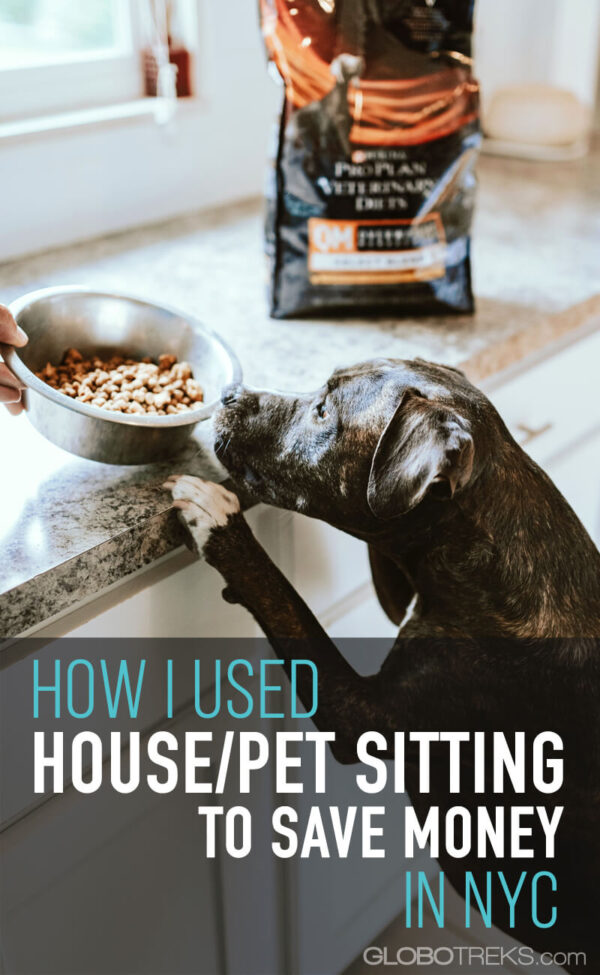 House Sitting NYC How I Saved Money Traveling & Pet Sitting