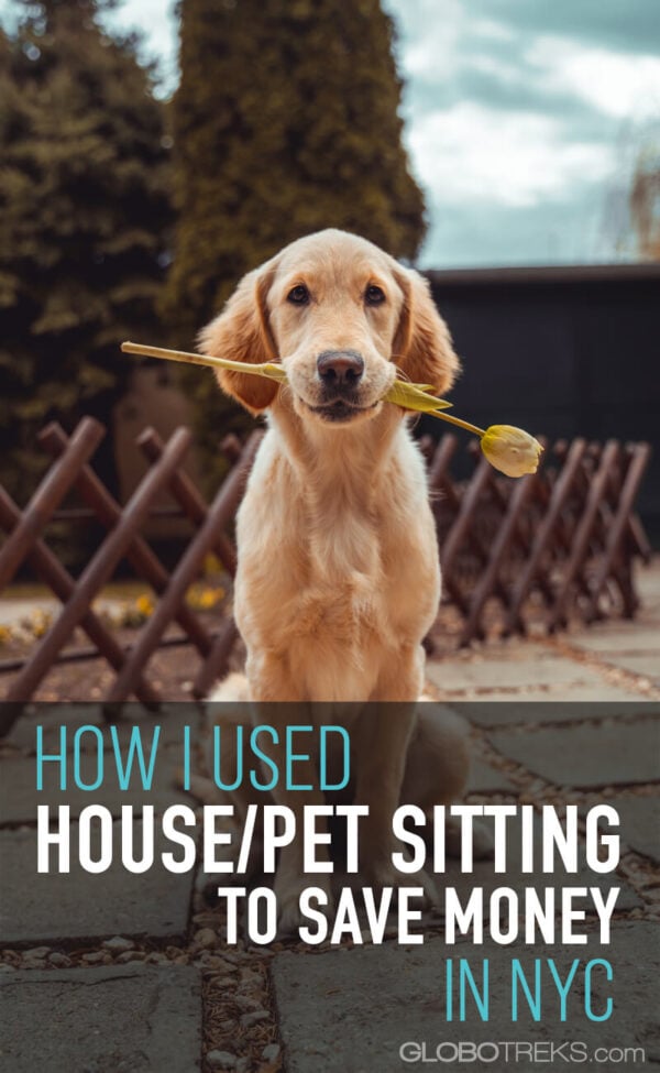 House Sitting NYC How I Saved Money Traveling & Pet Sitting