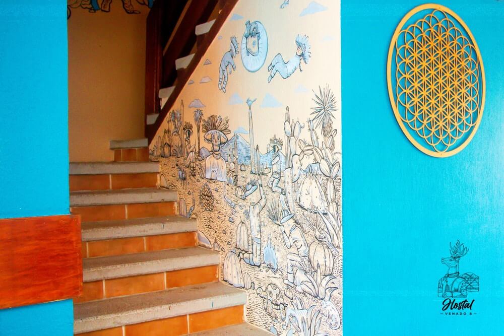 10 Best Budget-Friendly Hostels in Cancun, Mexico 3 Hostel Venado 8, Cancun
