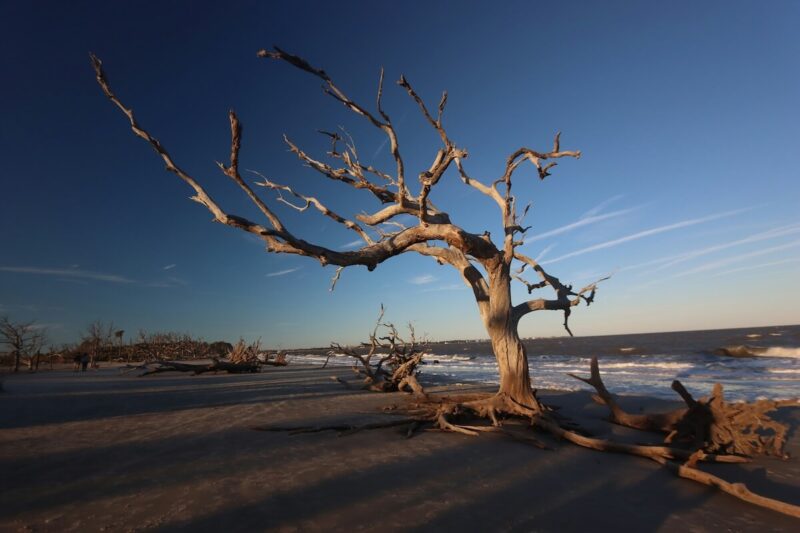Jekyll Island, Georgia
