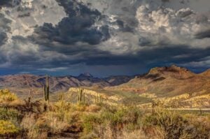 Arizona Landscape