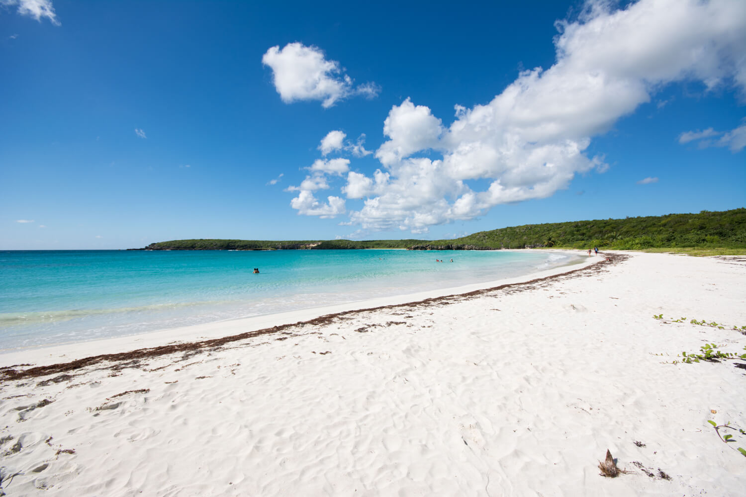 Caracas Beach in Vieques, Puerto Rico