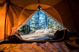 View from the Camping Tent in the Morning