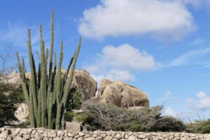 Arikok National Park - Aruba