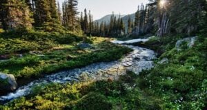 Olympic National Park in Washington