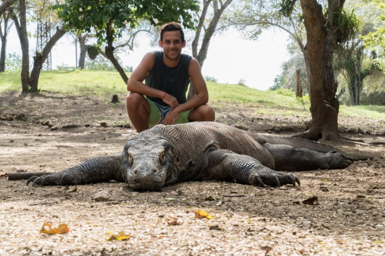 24 Fun Facts About Indonesia That May Surprise You