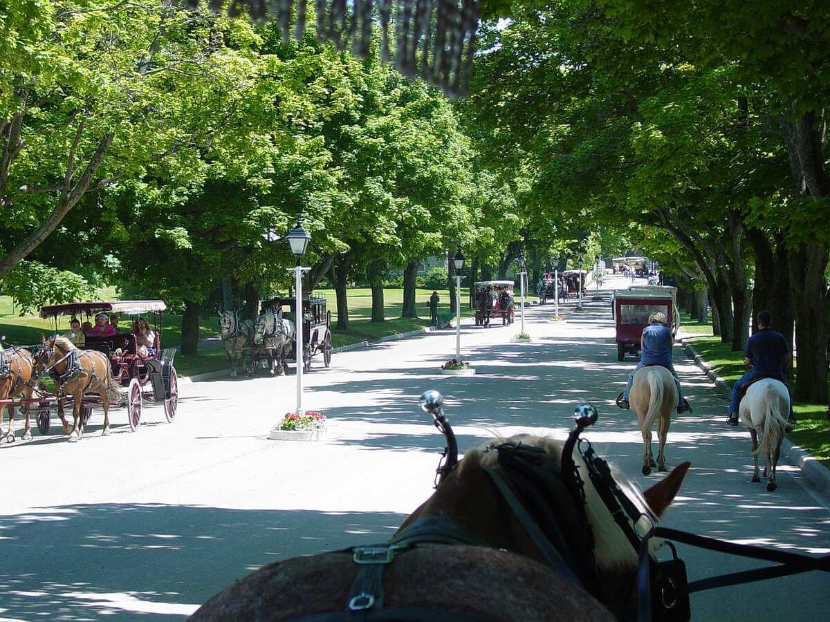 Carriages in Mackinac Island, Michigan