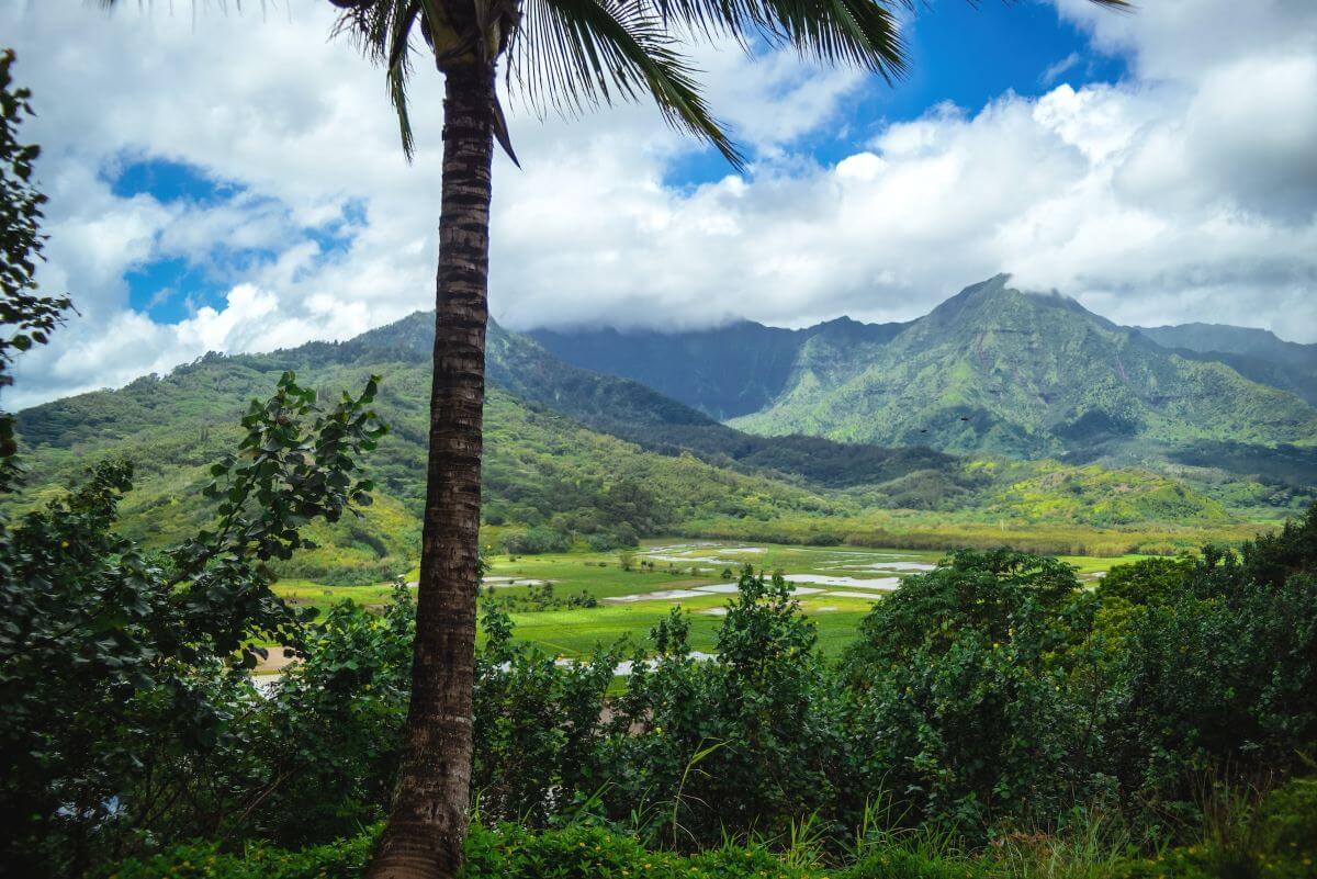 Kauai Landscape in Hawaii
