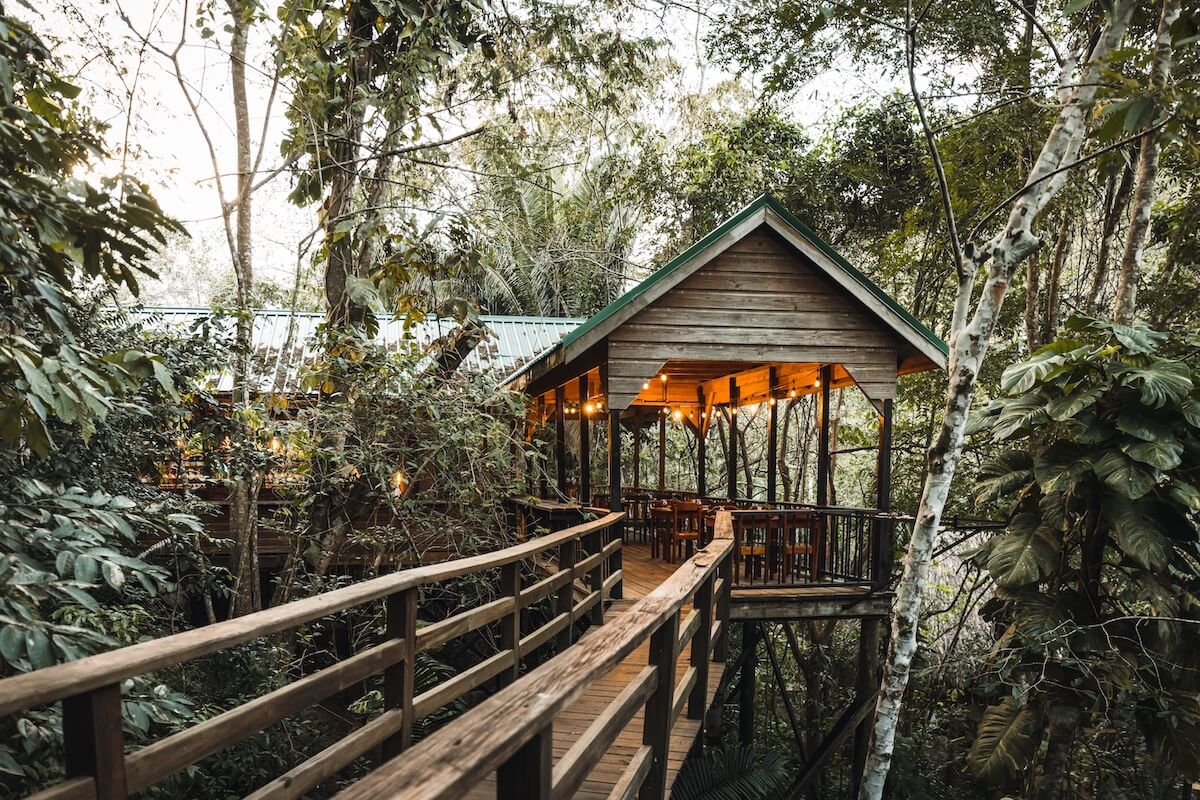 Sweet Songs in Belize