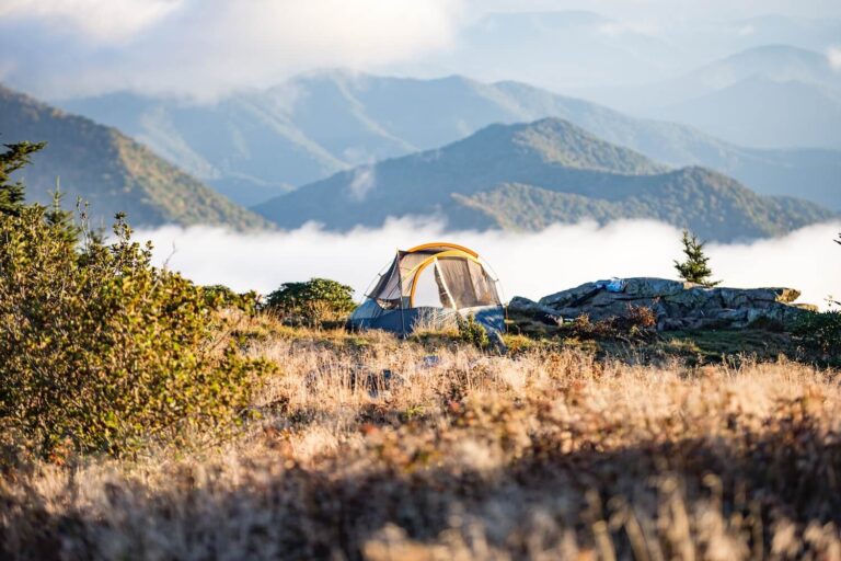 Camping Tent in Nature