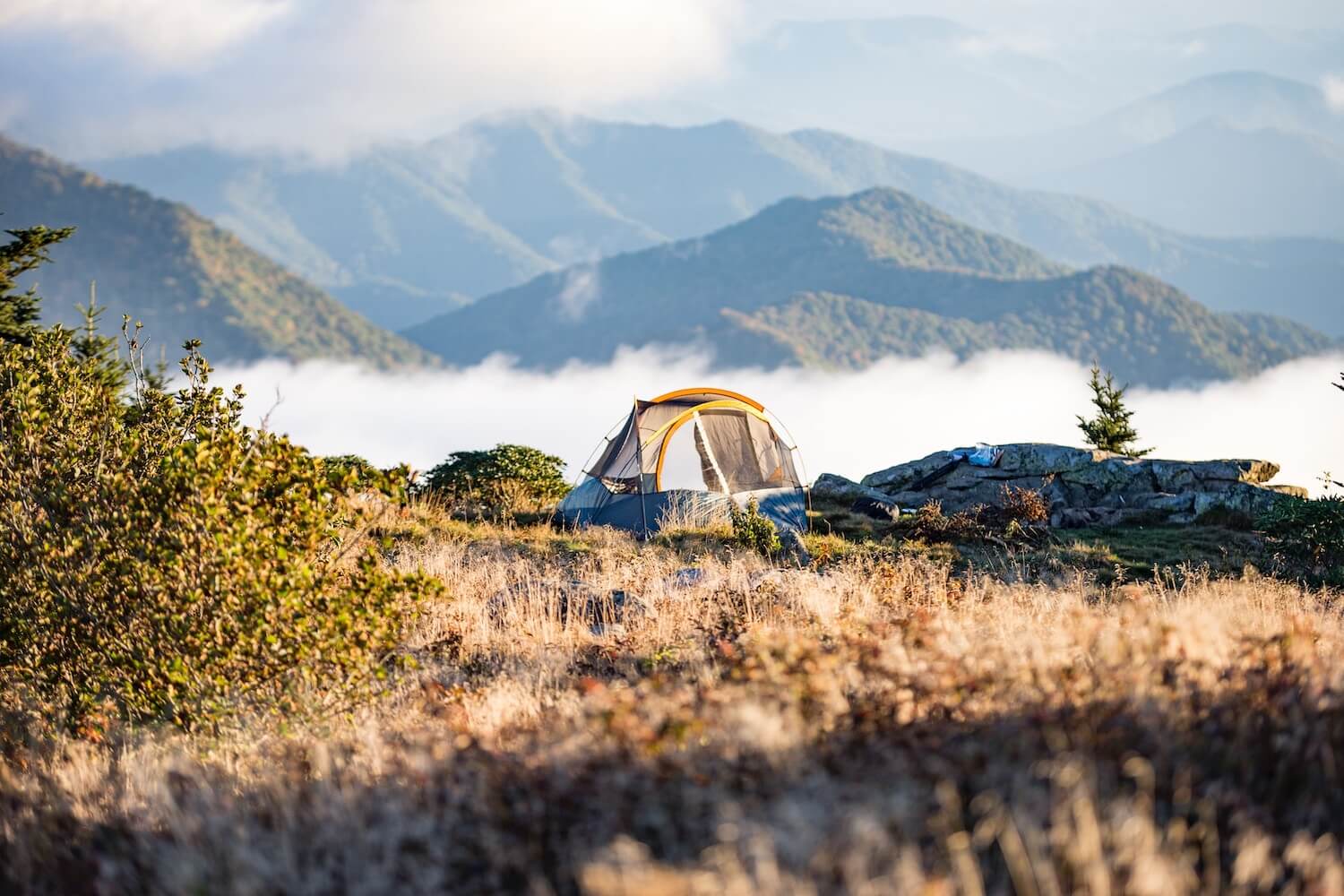 Camping Near San Francisco 8 OfftheBeatenPath Spots for Outdoor