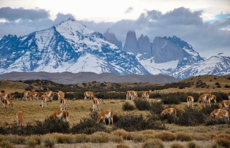 Torres del Paine in Chile