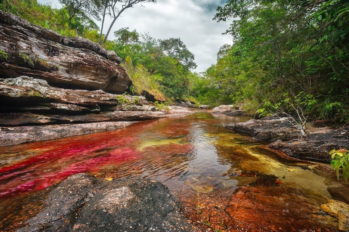 Ca&ntilde;o Cristales in Colombia