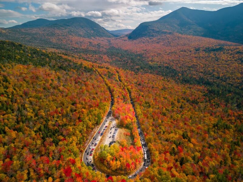 New England Foliage from above