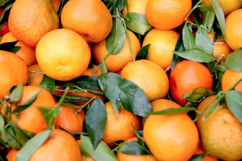 30 Fun Facts About Florida That Make It So Unique 9 Lots of Oranges