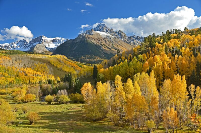 Fall Foliage in Colorado, USA