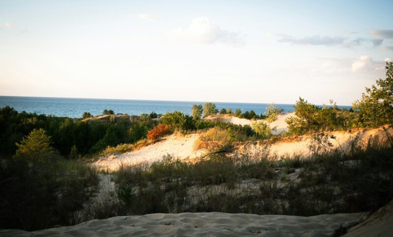 Day Trips from Chicago: Trails, Parks & Landmarks 6 Indiana Dunes National Park Dunes