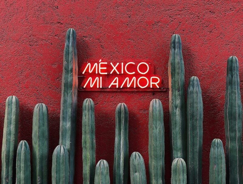 Mexico Mi Amor Sign