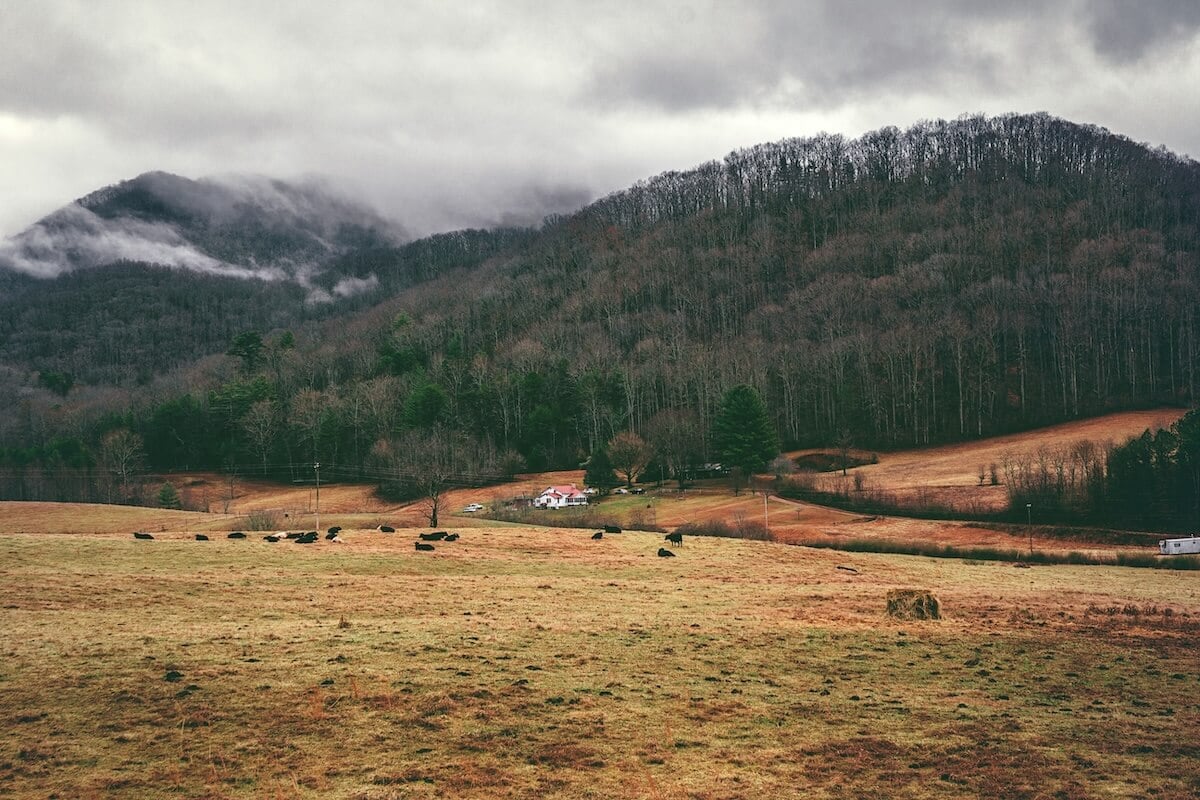 Blue Ridge Mountains House Farm