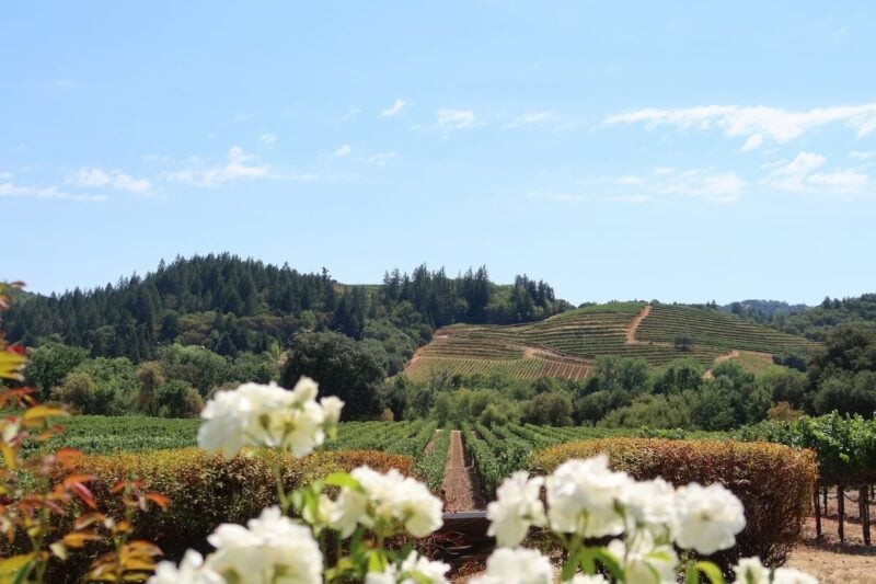 Northern California RV Camping | 15 Best RV Campgrounds 4 Napa Valley, California