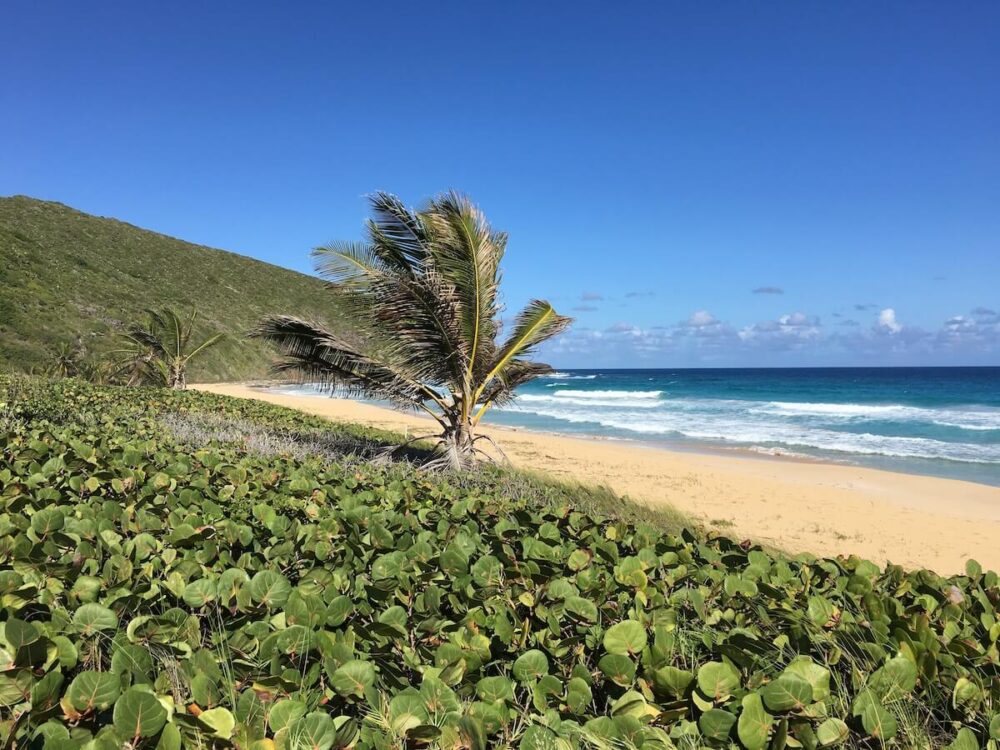 Resaca Beach in Culebra